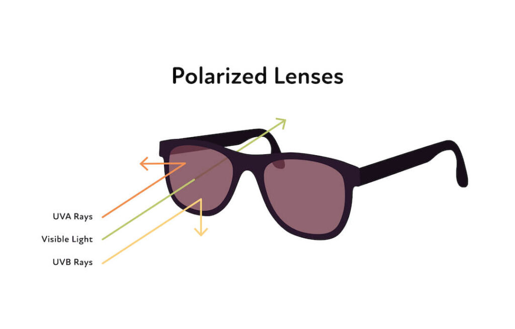 diagram explaining sunglass polarization